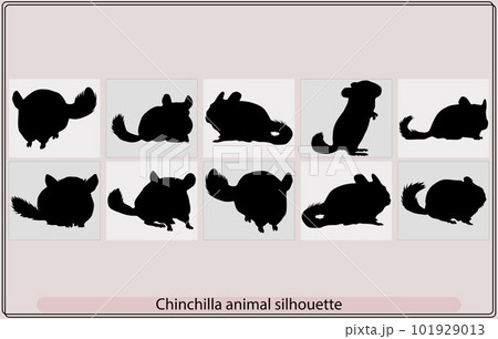Vector Thin Line Breed Cats Icons Set. Cute Outline Animal Illustrations  Pet Design Stock Vector - Illustration of chinchilla, element: 113570537
