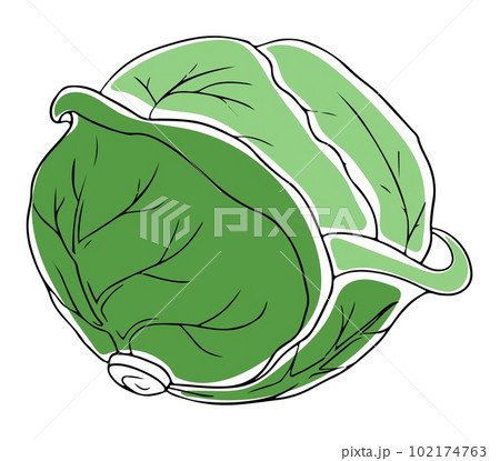 cabbage cartoon black and white