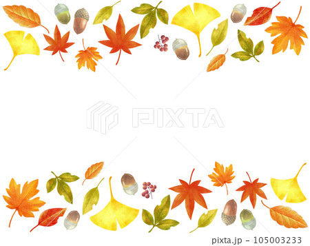 紅葉 カエデ 秋 色鉛筆画のイラスト素材 - PIXTA