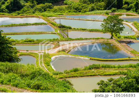 山古志棚田の写真素材 - PIXTA