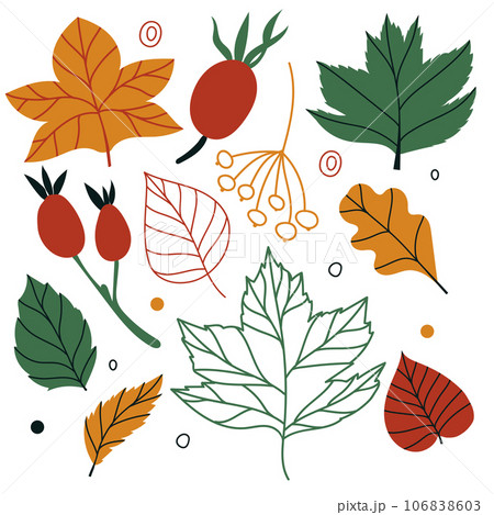 Vector seamless pattern with leaves and berries in cozy colors