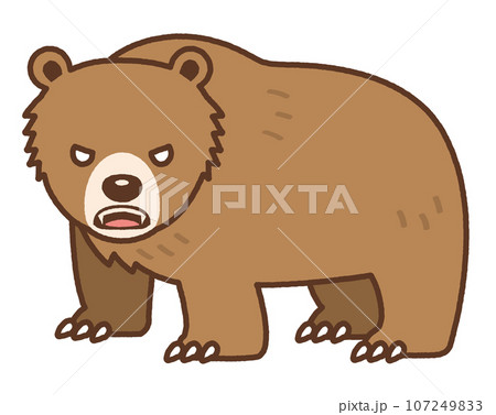 #2.3.4 kubota ヒグマ 牙 熊 ヒグマ キバ 牙の写真素材 - PIXTA