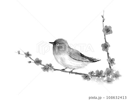 水墨画 花と鳥の絵 水墨画 鳥 小鳥 墨絵のイラスト素材 - PIXTA