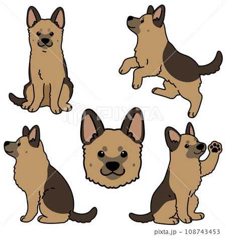 シェパードのイラスト素材 - PIXTA