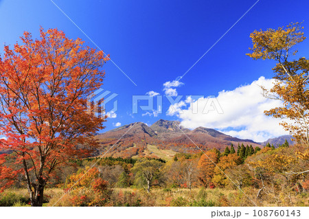 新潟県 妙高市 いもり池 紅葉の写真素材 - PIXTA