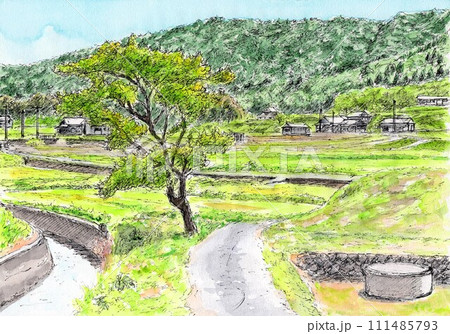 風景 水彩画 田舎道 田んぼのイラスト素材 - PIXTA
