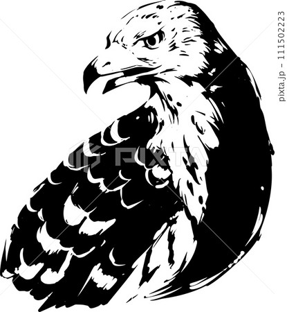 墨絵 水墨画 鷲 鳥のイラスト素材 - PIXTA