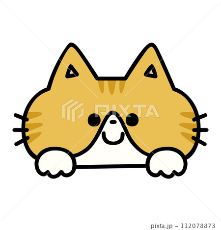 猫ひょっこりの写真素材 - PIXTA