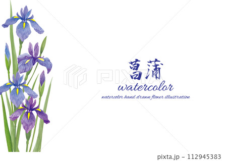 水彩 水彩画 菖蒲 花の写真素材 - PIXTA