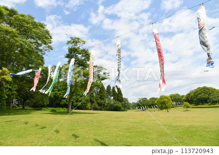 青空を泳ぐ鯉のぼり