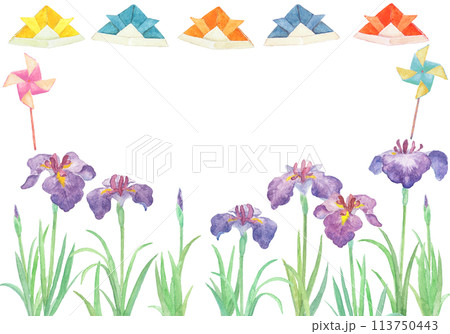 あやめ 菖蒲 水彩画 アヤメのイラスト素材 - PIXTA