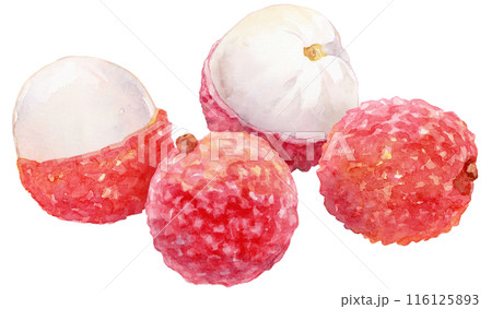 生ライチの写真素材 - PIXTA