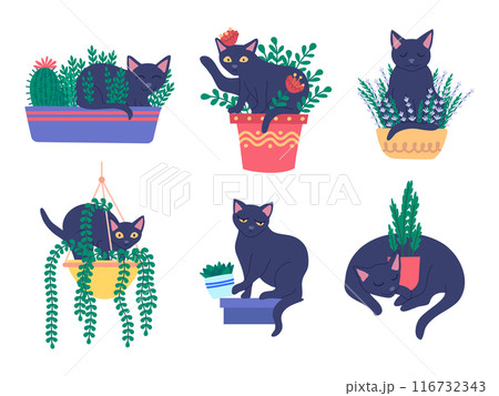 黒猫 猫 睡眠 動物のイラスト素材 - PIXTA 黒猫 猫 睡眠 動物のイラスト素材 - PIXTA