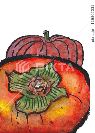 柿 かき カキ 絵手紙のイラスト素材 - PIXTA