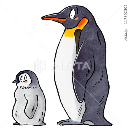 飛べない 飛べ ぺんぎん ペンギンのイラスト素材 - PIXTA