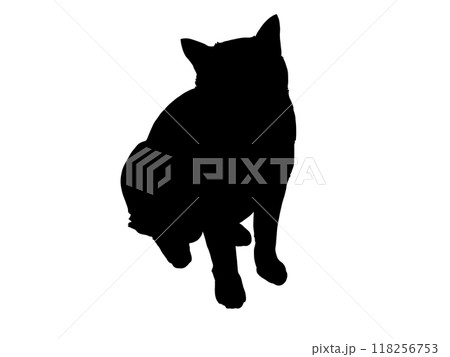 猫 シルエット 黒猫 見上げるのイラスト素材 - PIXTA