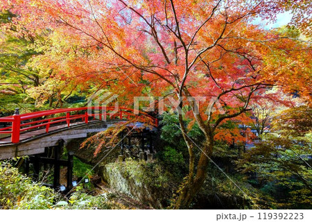 油絵「　赤い太鼓橋　」P10号 油絵「 赤い太鼓橋 」P10号