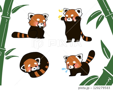 レッサーパンダ 動物 animal red pandaのイラスト素材 - PIXTA