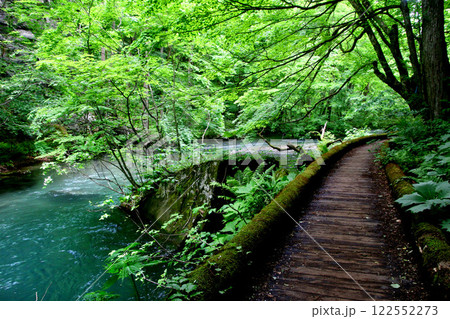 奥入瀬渓流の写真素材 - PIXTA