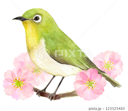 春のイラスト素材(31,258点以上の高品質なイラスト素材) - PIXTA