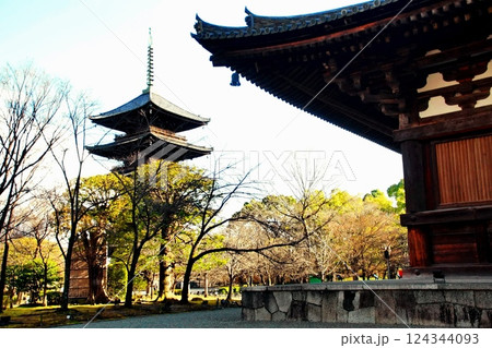 東寺金堂の写真素材 - PIXTA 