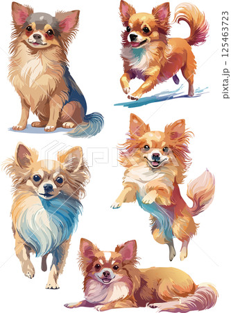 ポメラニアン 犬 動物 水彩のイラスト素材 - PIXTA