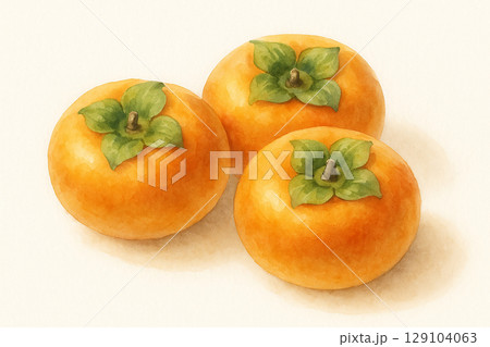 柿の画像素材(75,633点以上の高品質な写真・イラスト素材) - PIXTA