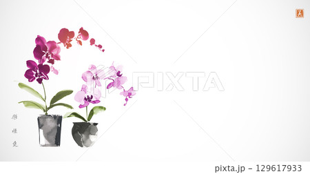 花 植物 水墨画 胡蝶蘭のイラスト素材 - PIXTA