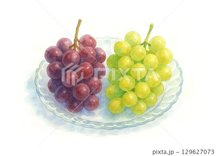 ぶどうの画像素材(172,029点以上の高品質な写真・イラスト素材