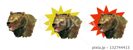 熊 ヒグマ キバ 牙の写真素材 - PIXTA