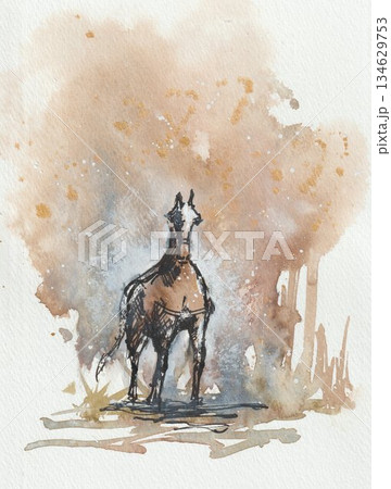 動物 馬 水彩画 水彩のイラスト素材 - PIXTA