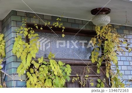植物 つた ツタ 廃墟の写真素材 - PIXTA