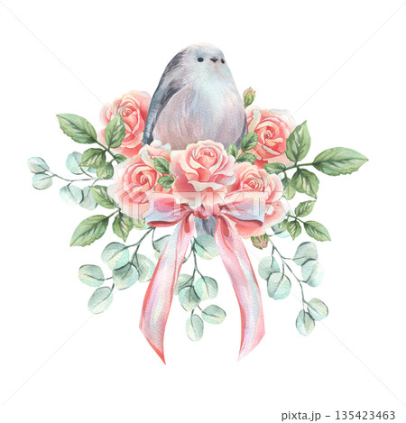 エナガ 水彩画 鳥のイラスト素材 - PIXTA