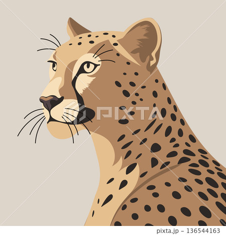 cheetahのイラスト素材 - PIXTA