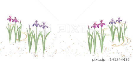 水彩 水彩画 菖蒲 花のイラスト素材 - PIXTA